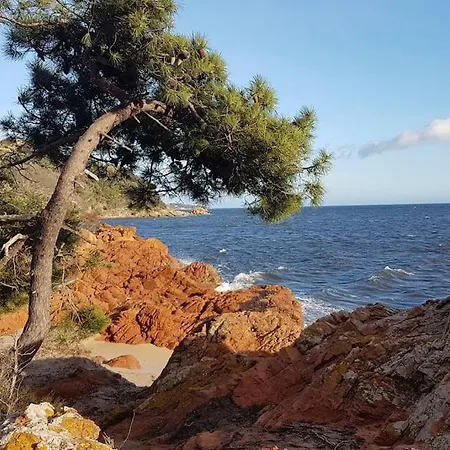 Сasa de vacaciones Les Oliviers De Murateddu Porto Vecchio