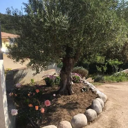 Holiday home Les Oliviers De Murateddu