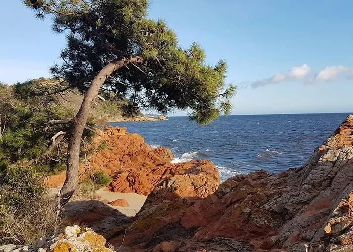 Ferienhaus Les Oliviers De Murateddu Porto-Vecchio (Corsica)