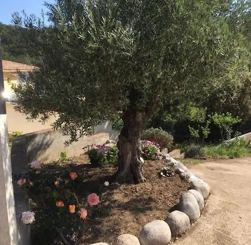 Casa de Férias Les Oliviers De Murateddu